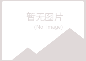 铁岭夜山化学有限公司